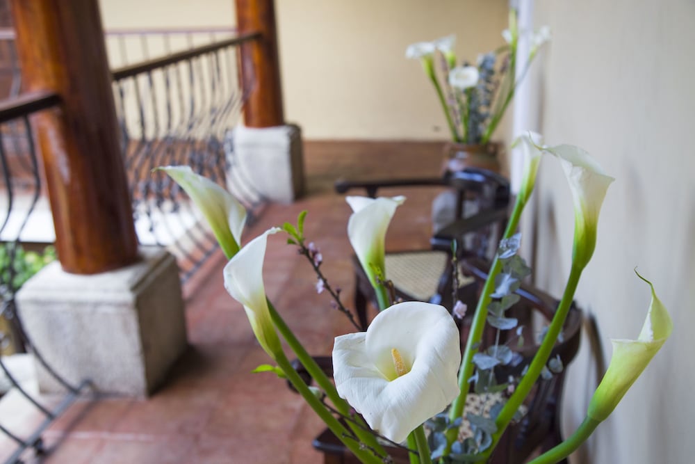 Фото Hotel Boutique Los Pasos & SPA