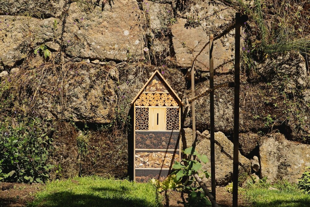 Фото Casa Agrícola da Levada Eco Village