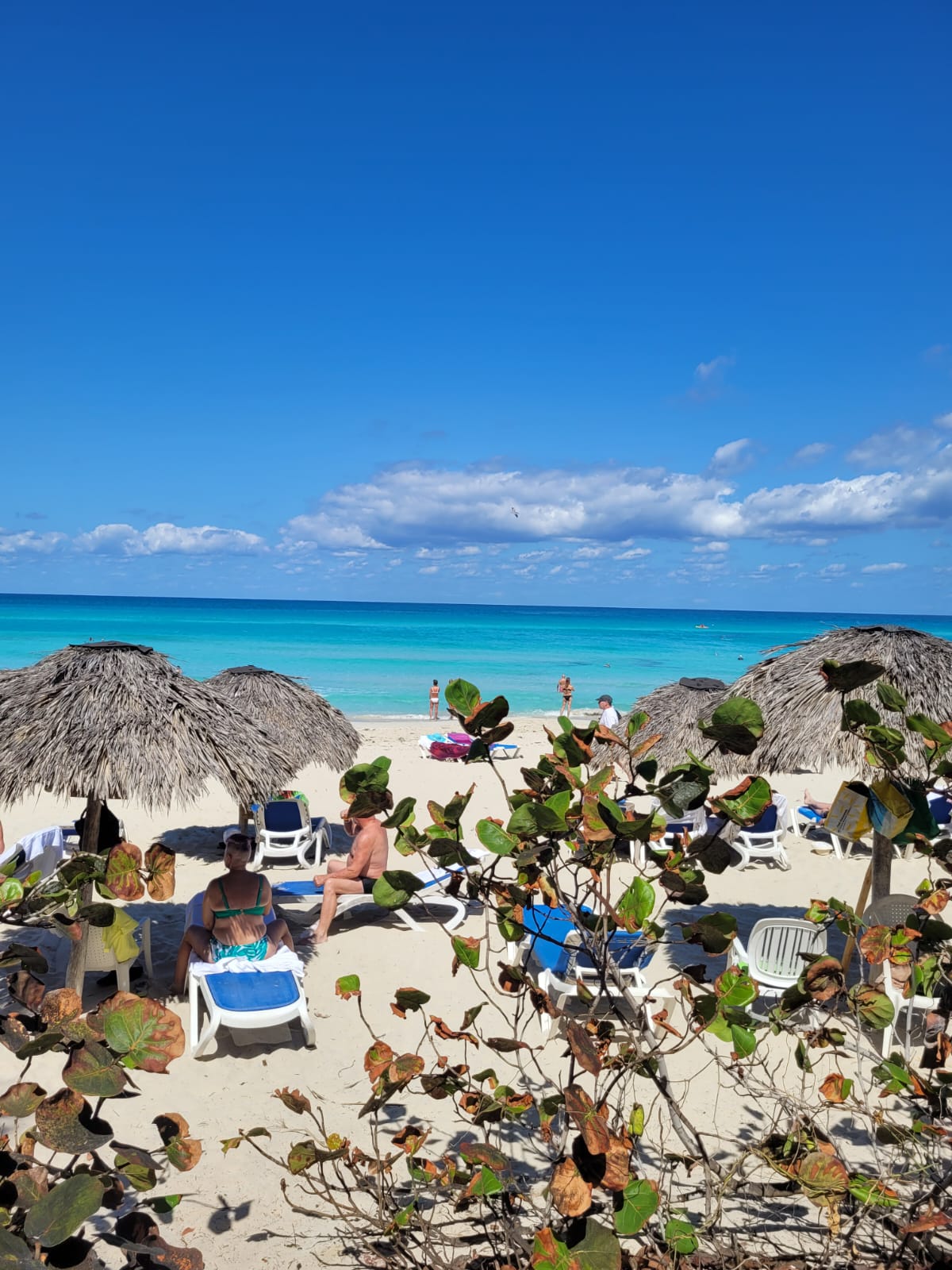 Фото Barcelo Solymar