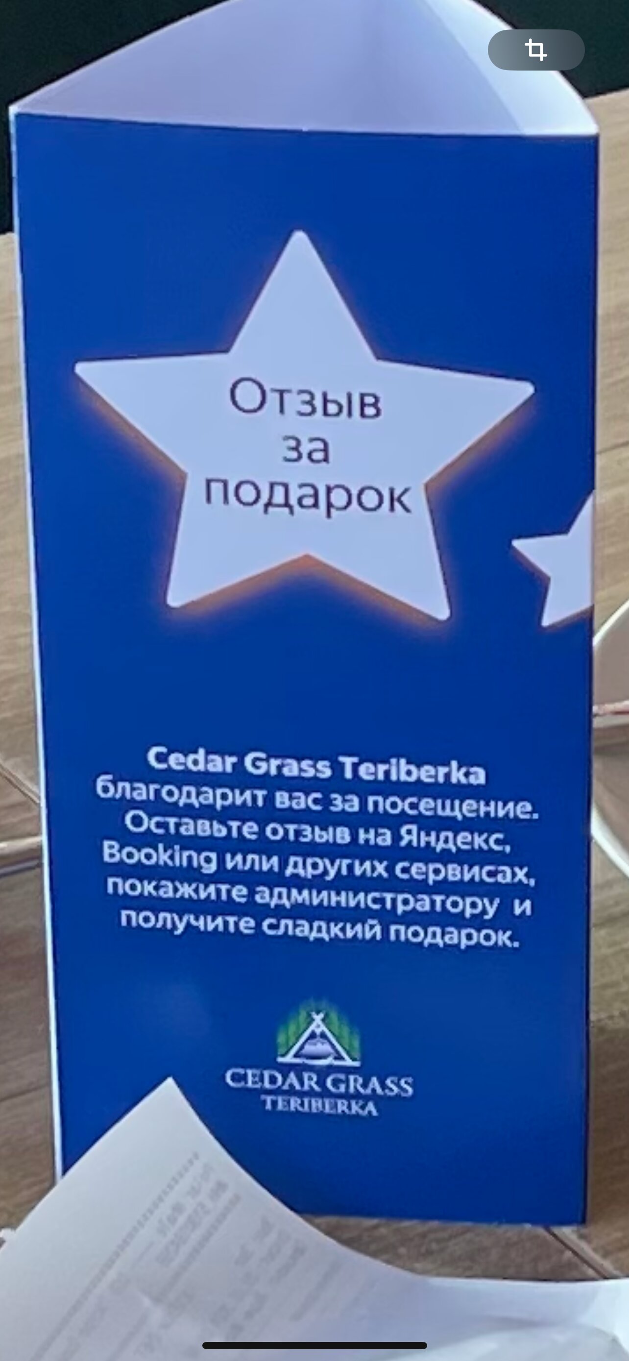 Фото Cedar Grass Териберка