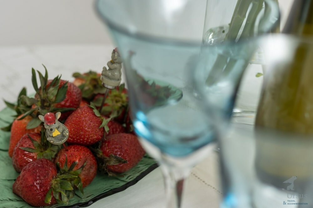 Фото Mina Apartment