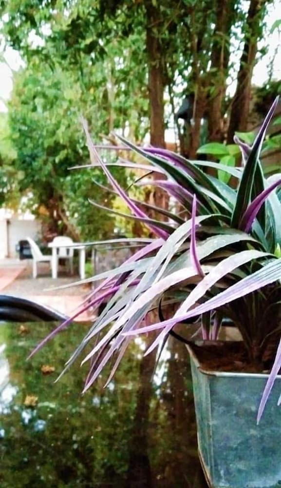 Фото Aandrus Guesthouse