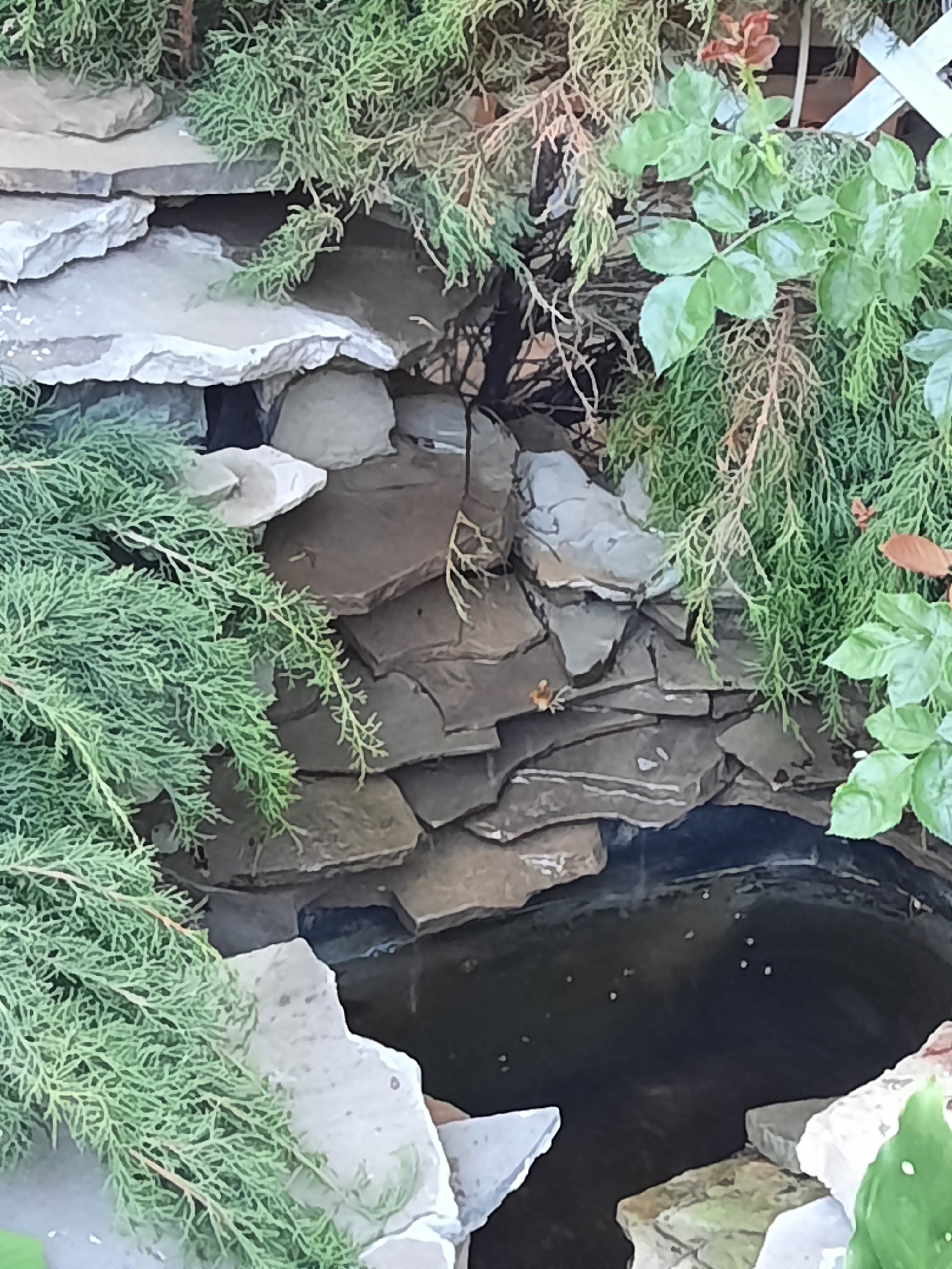 Фото Меридиана-2