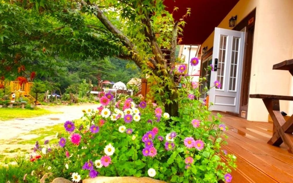 Фото Jeongseon Daon Pension