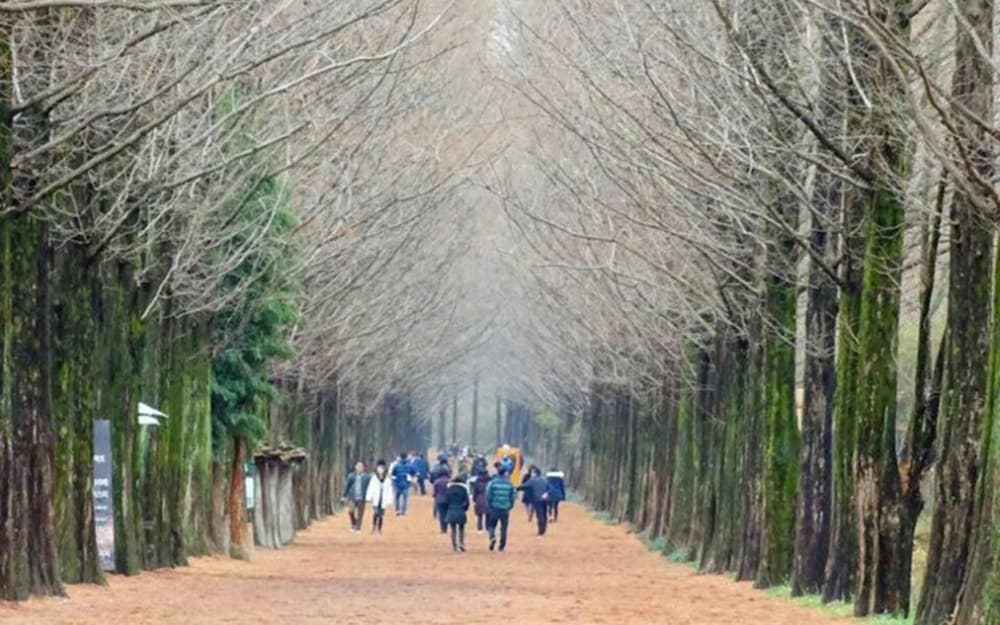 Фото Damyang Dambit Pension