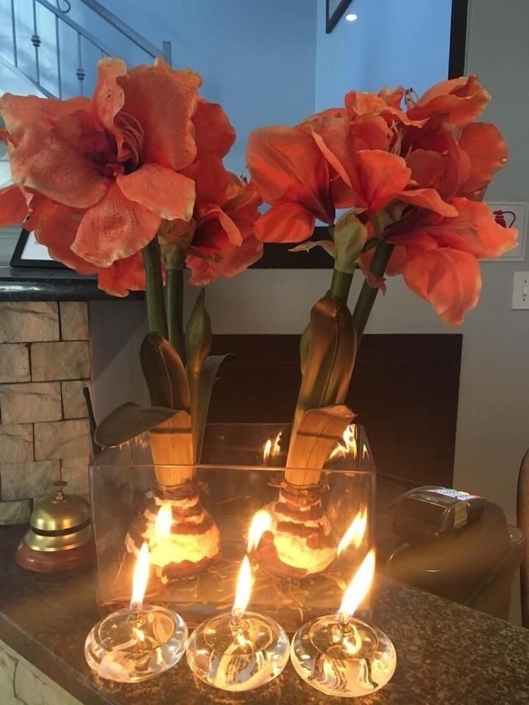 Фото Uitzicht Guest house