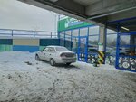 Moly green (ул. Кирова, 146А, Ижевск), магазин автозапчастей и автотоваров в Ижевске