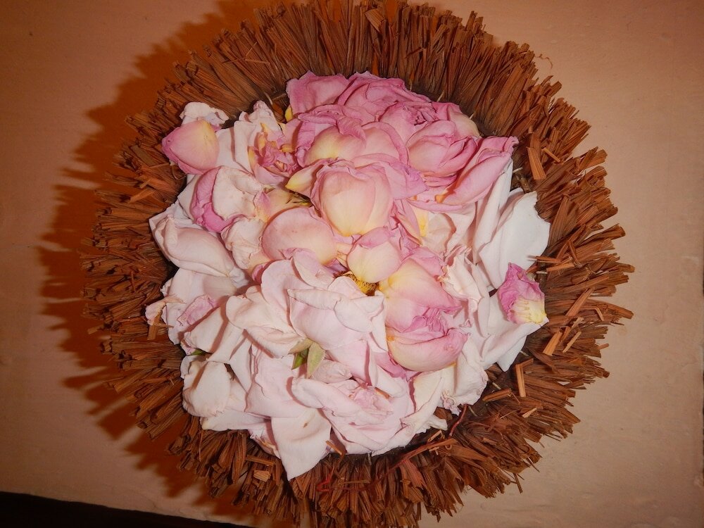 Фото Galeria In The Garden