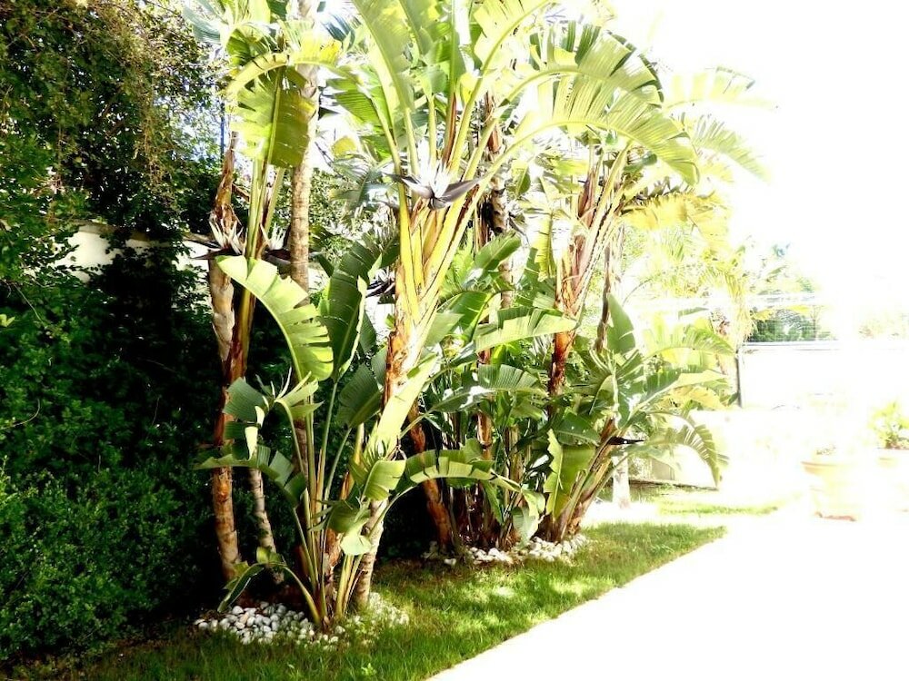 Фото Sea Garden Gallipoli