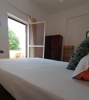 Фото Pharaonic Rose