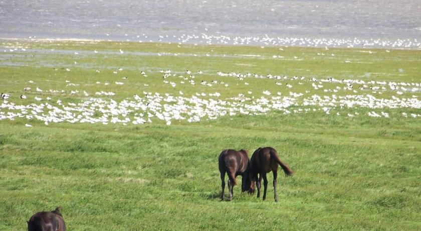 Фото Bed and Breakfast Oosterpark