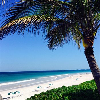 Фото The Cove Eleuthera