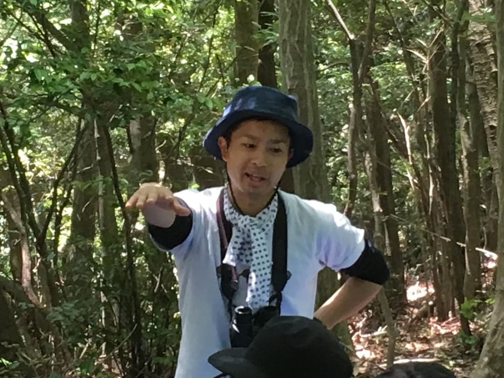 Фото Guesthouse Mori No Eki