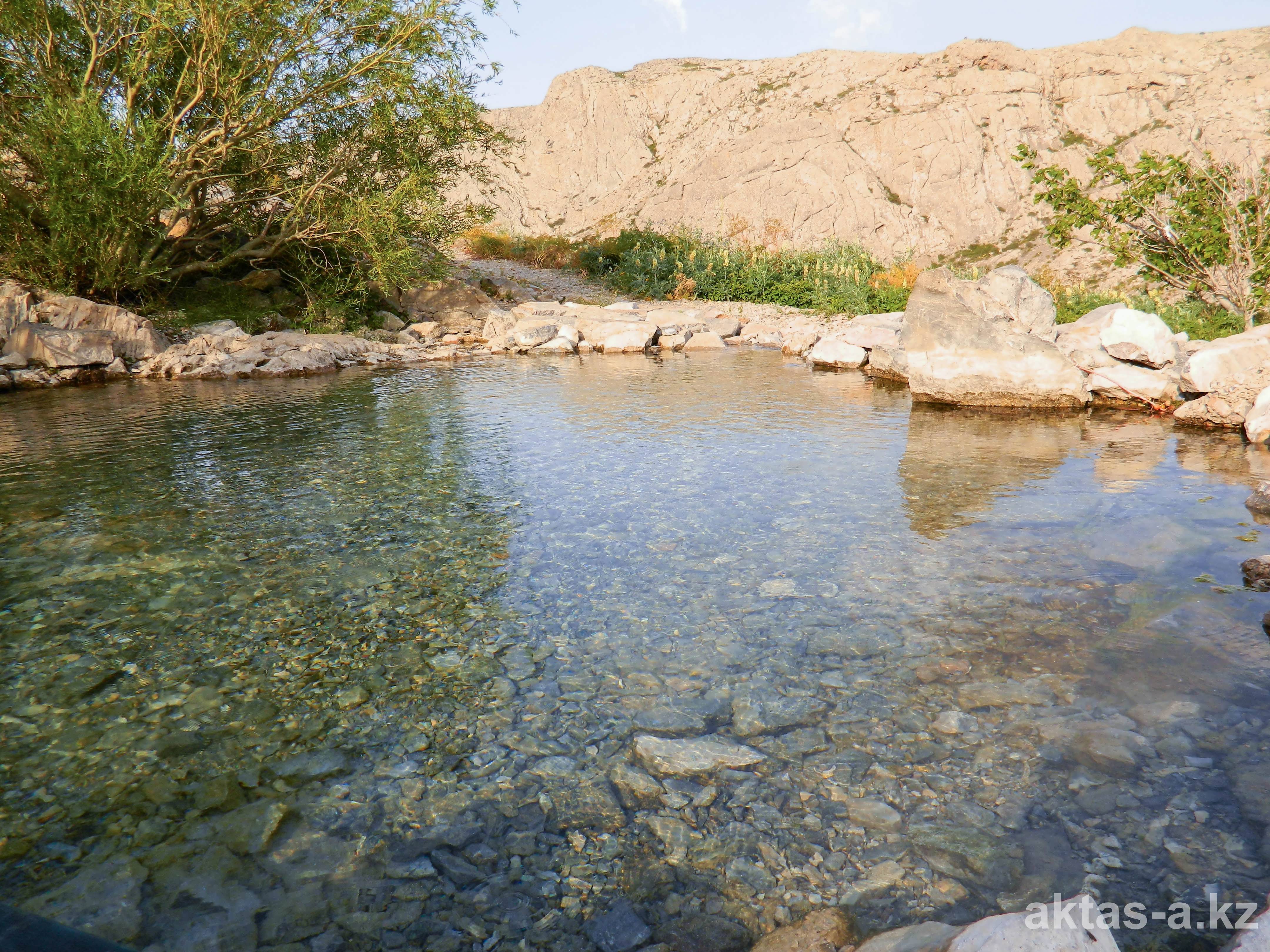 Гинекологиялық креслодағы жұдырықтасу