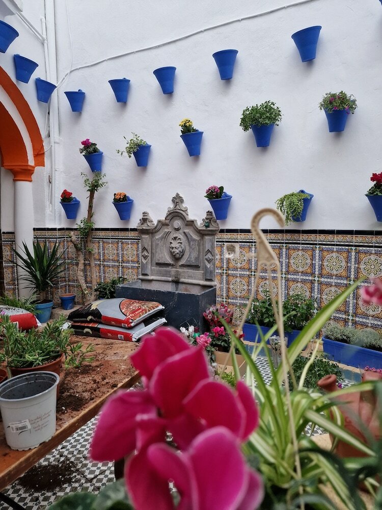 Фото Arc House Mezquita