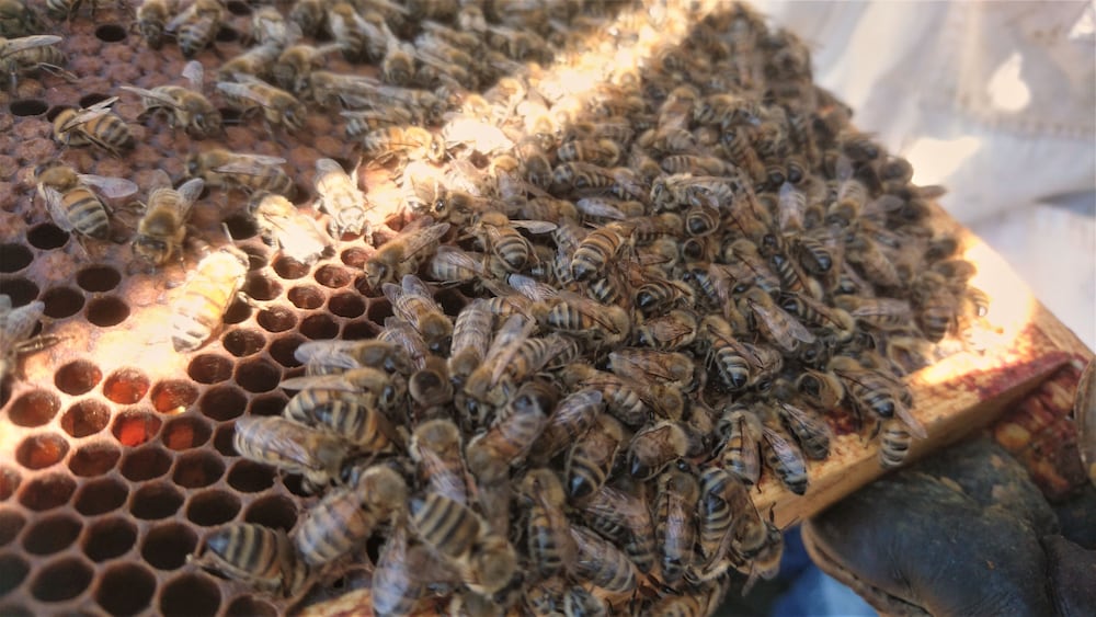 Фото Holiday Inn Express Paris - Canal de la Villette