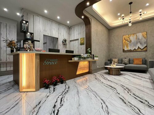 Гостиница Grace Hotel Dunbei в Тайбэе