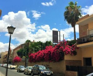 Гостиница Aacr Hotel Monteolivos