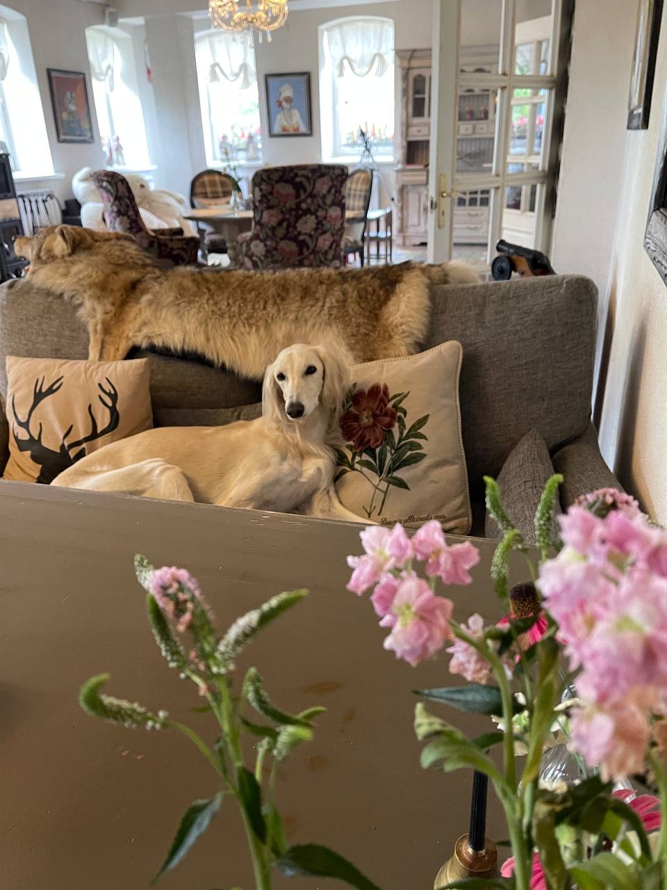 Фото Усадьба купца Баева