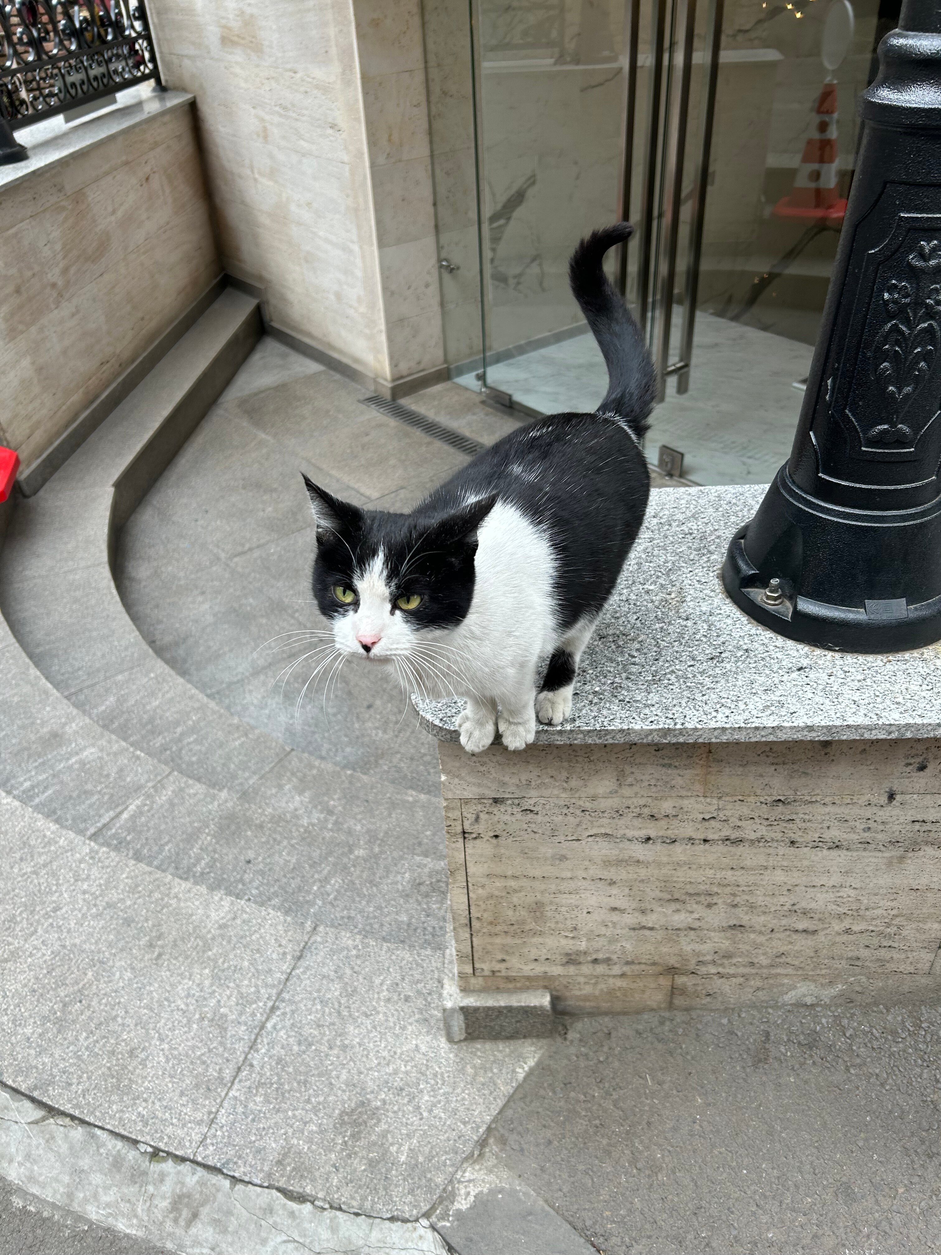 Фото Silver 39 Corner Hotel