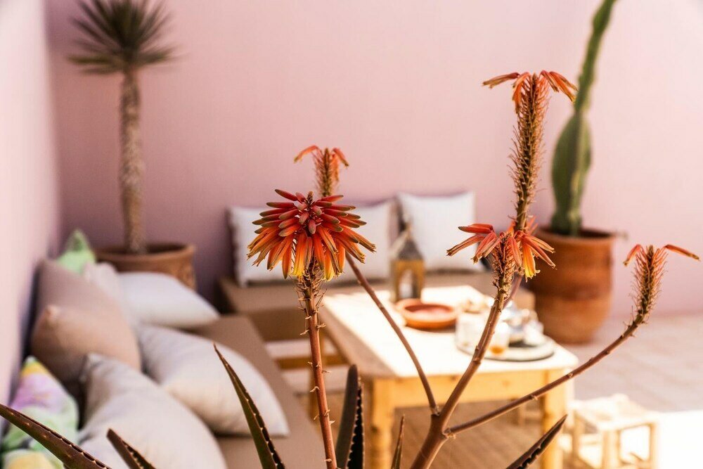 Фото Inna guest house