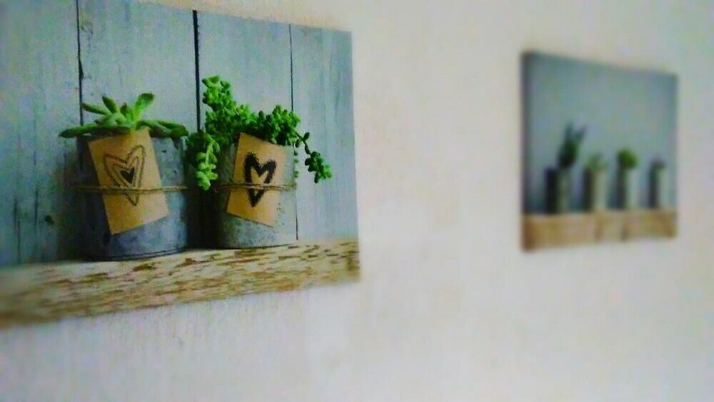 Фото Plaza los Naranjos