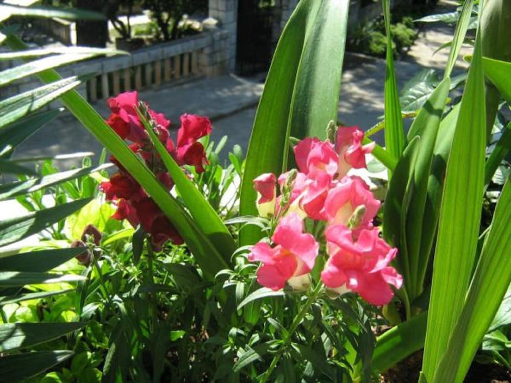 Фото House Boninovo - Adults Only