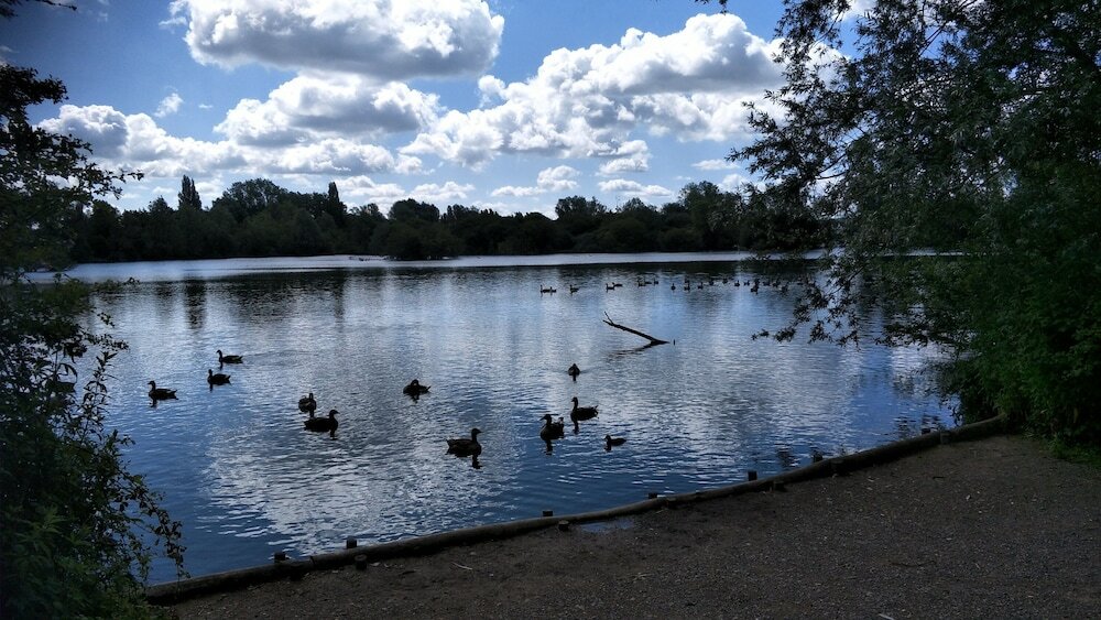 Фото Mallard Cottage