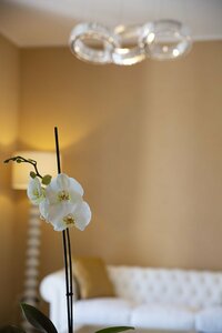 Гостиница Aurum Suites