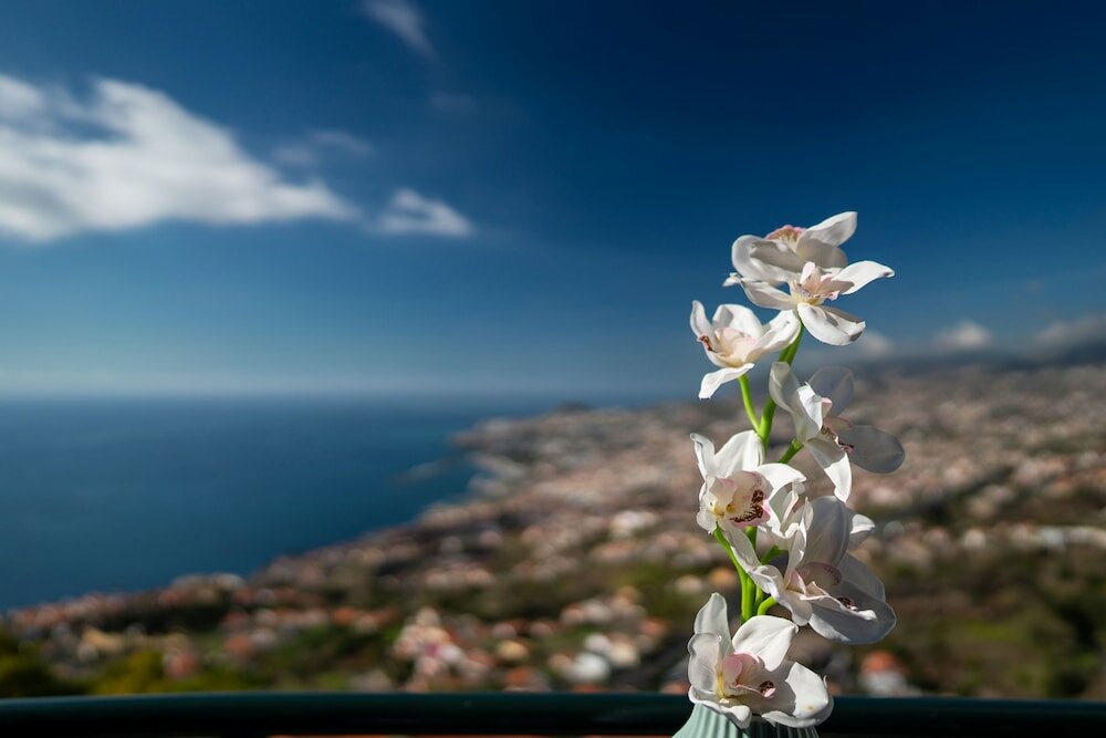 Фото Atlantic Ocean Apartment