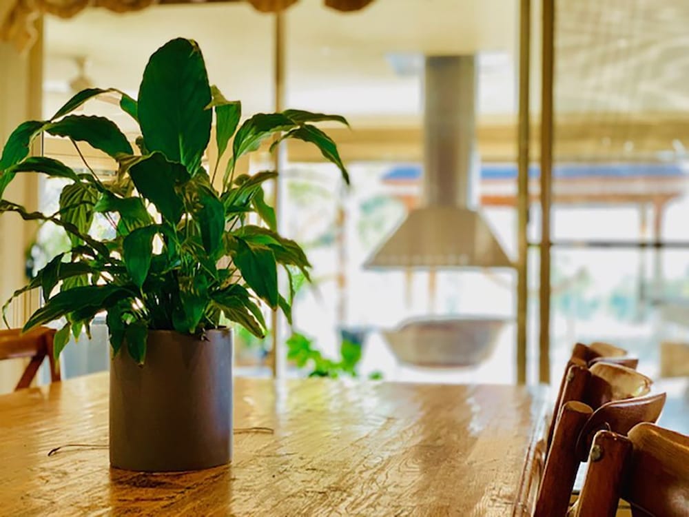 Фото Grand Gippsland Home Sleeps Up To 28