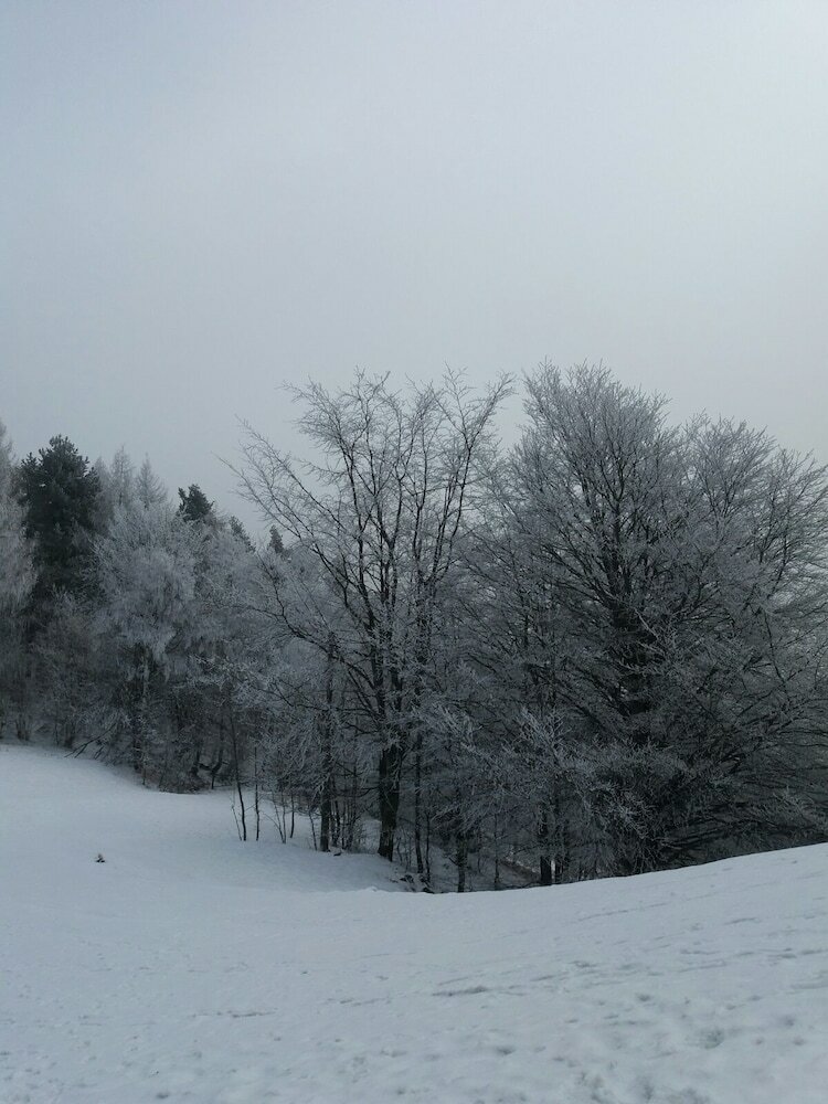 Фото Osteria Gaute La Nata
