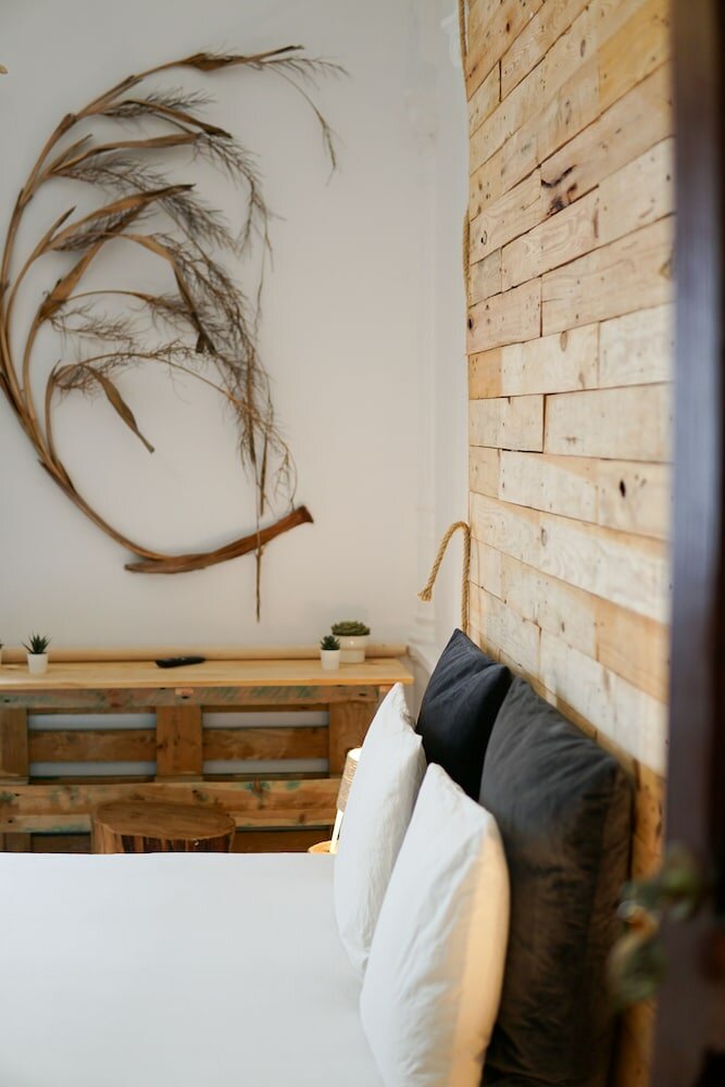 Фото Cactus Host