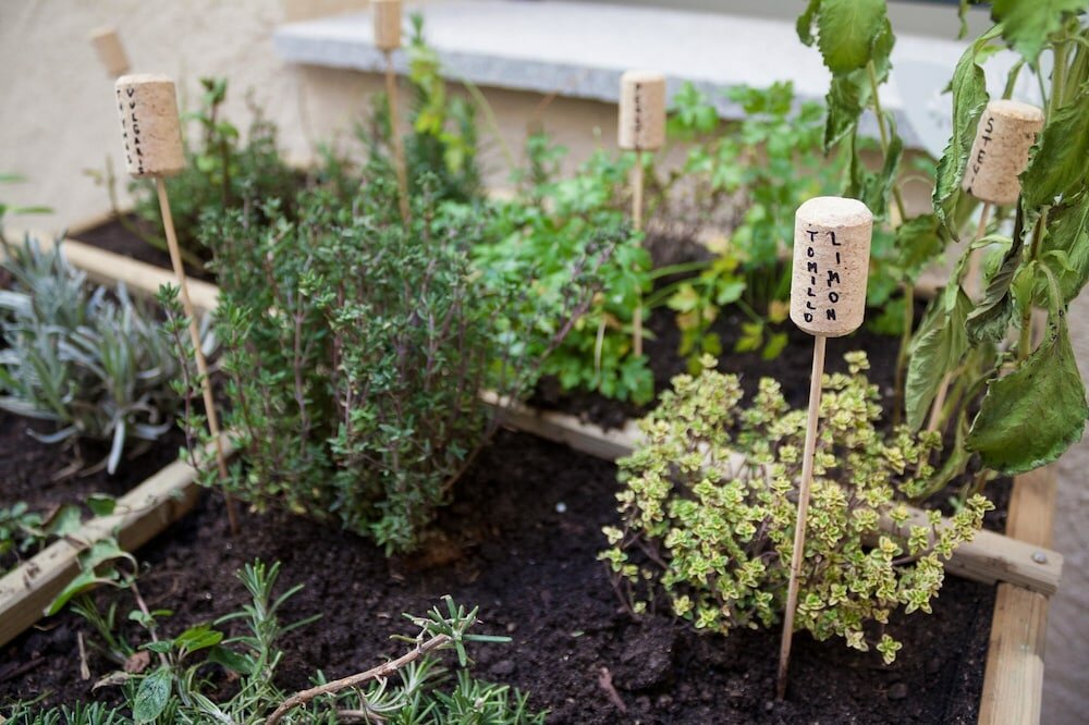 Фото El Encanto Hotel & Cafetería