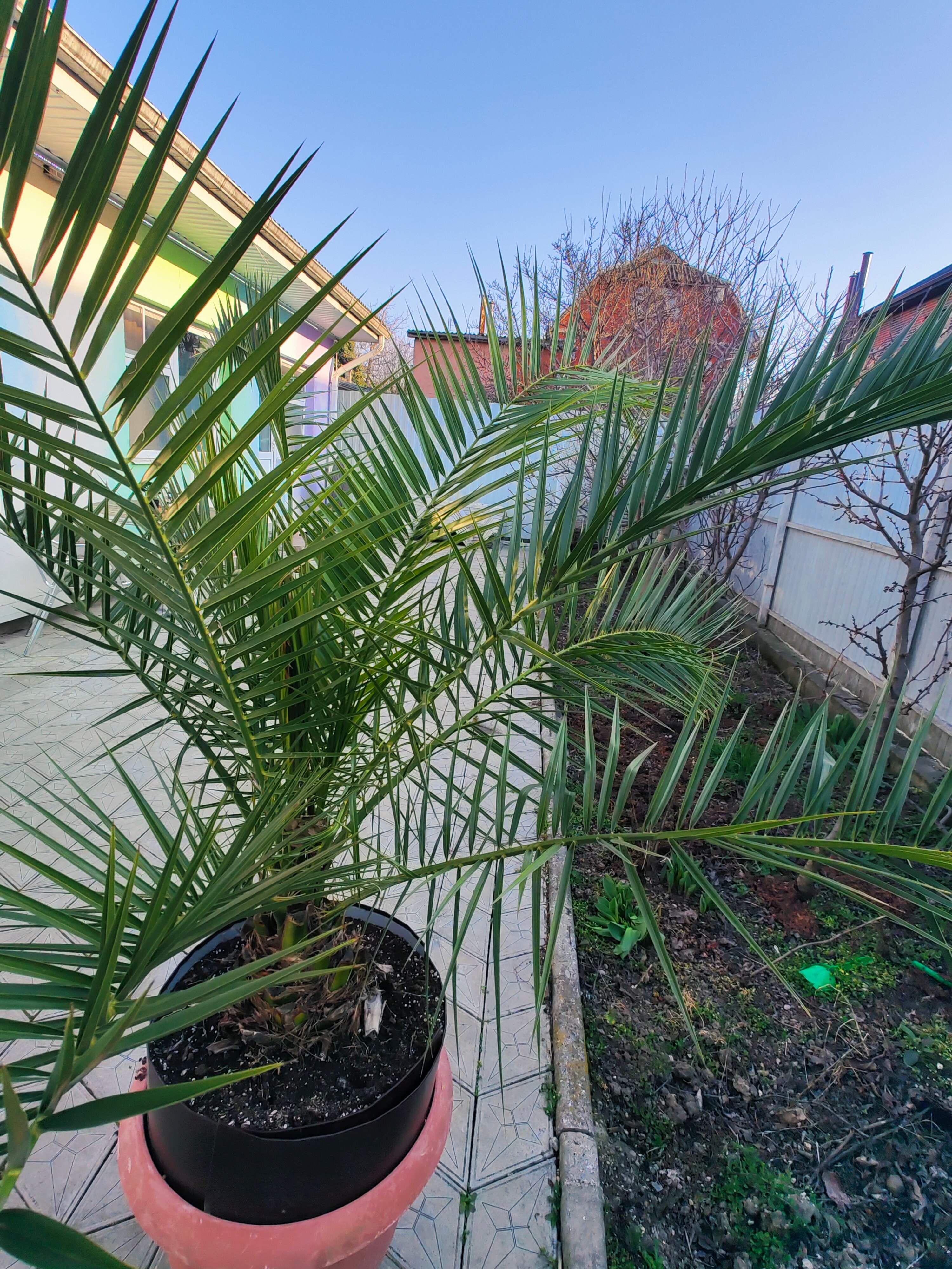 Фото Любой Каприз