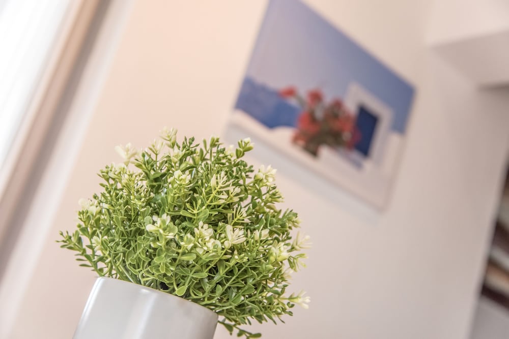 Фото Tinos Pegion House