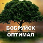 Бобруйск-Оптимал (ул. Чехова, 32, корп. 1), мебельная фурнитура и комплектующие в Бобруйске