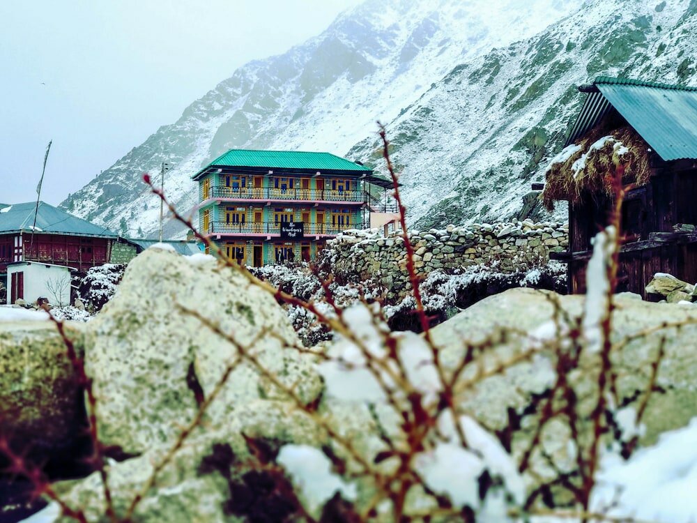 Фото The Wanderers Nest