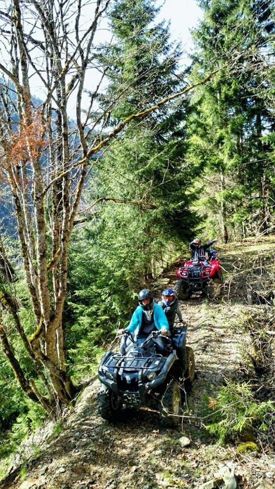 Фото EcoRest - Likani Palace
