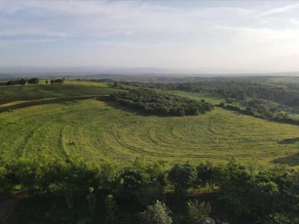 Фото St. Catherine Monastery