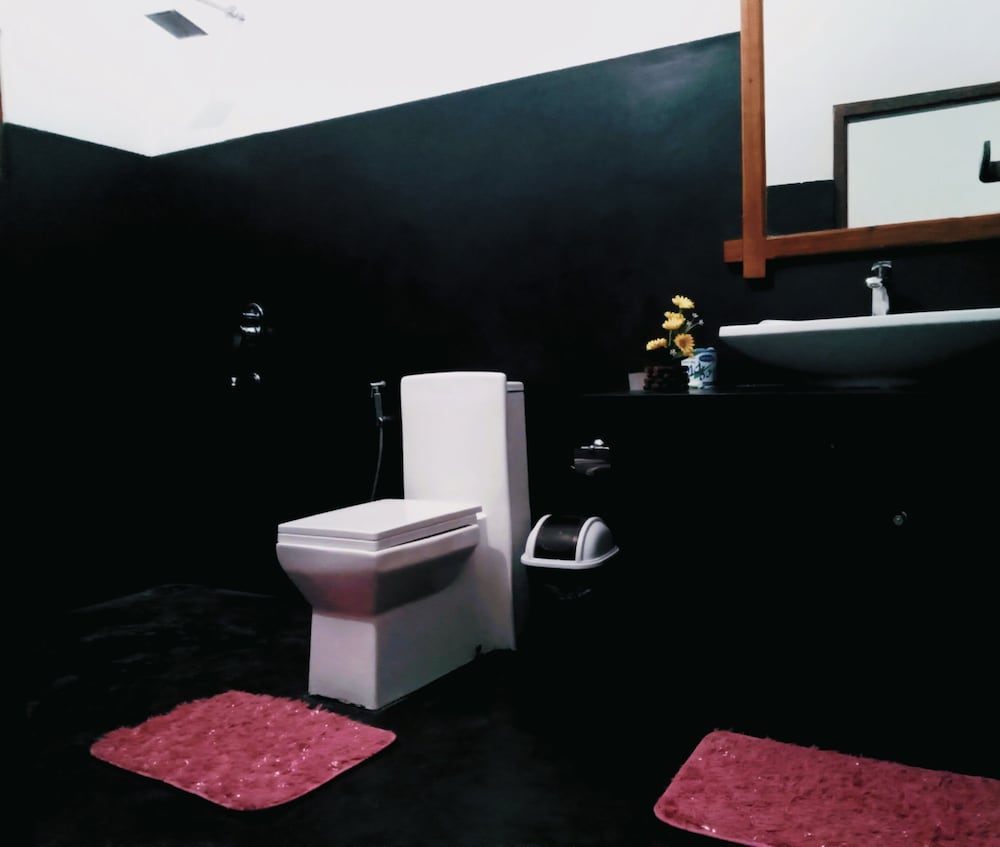 Фото Monarch ella