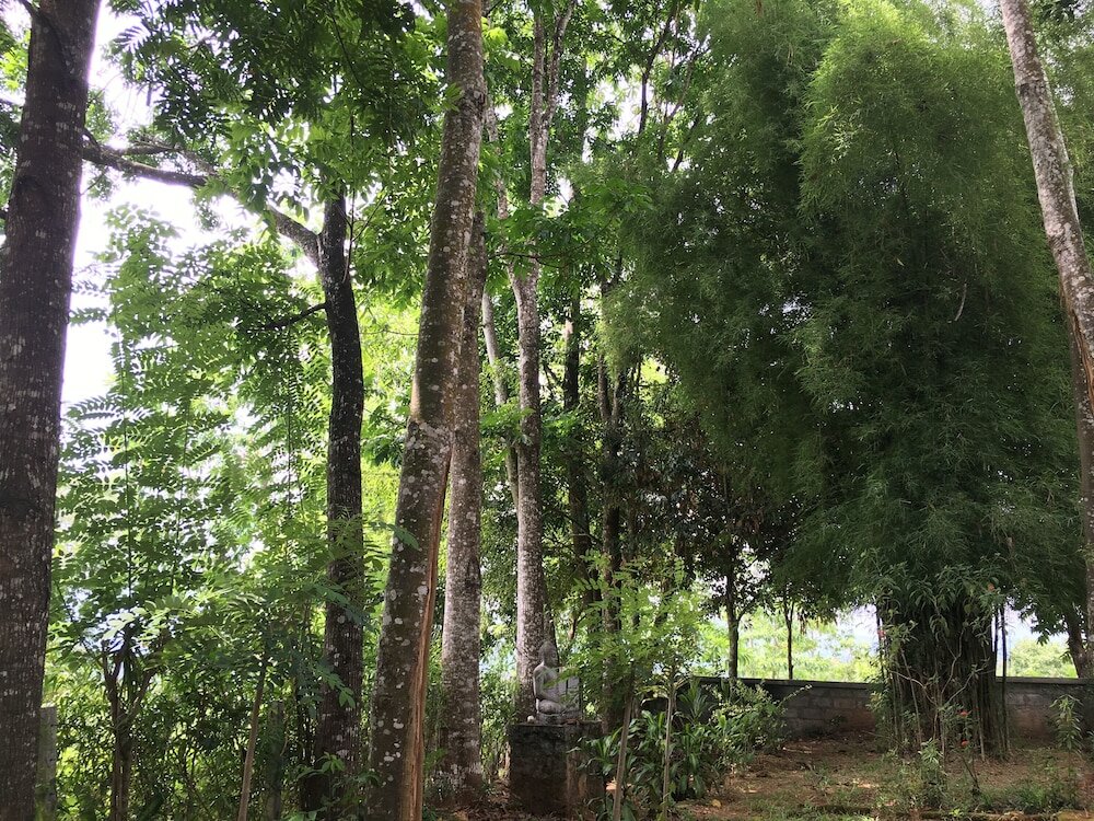 Фото Captain's Lodge