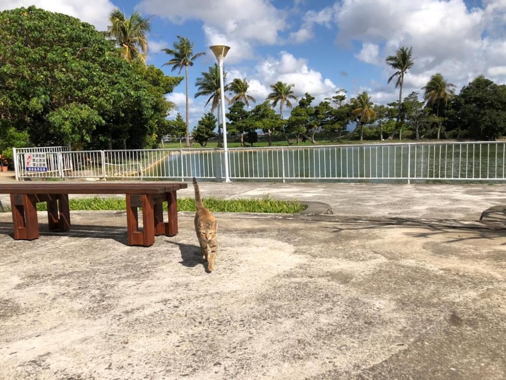 Фото HoTian Farm