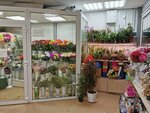 Цветы Севера (Советская ул., 9), магазин цветов в Североморске