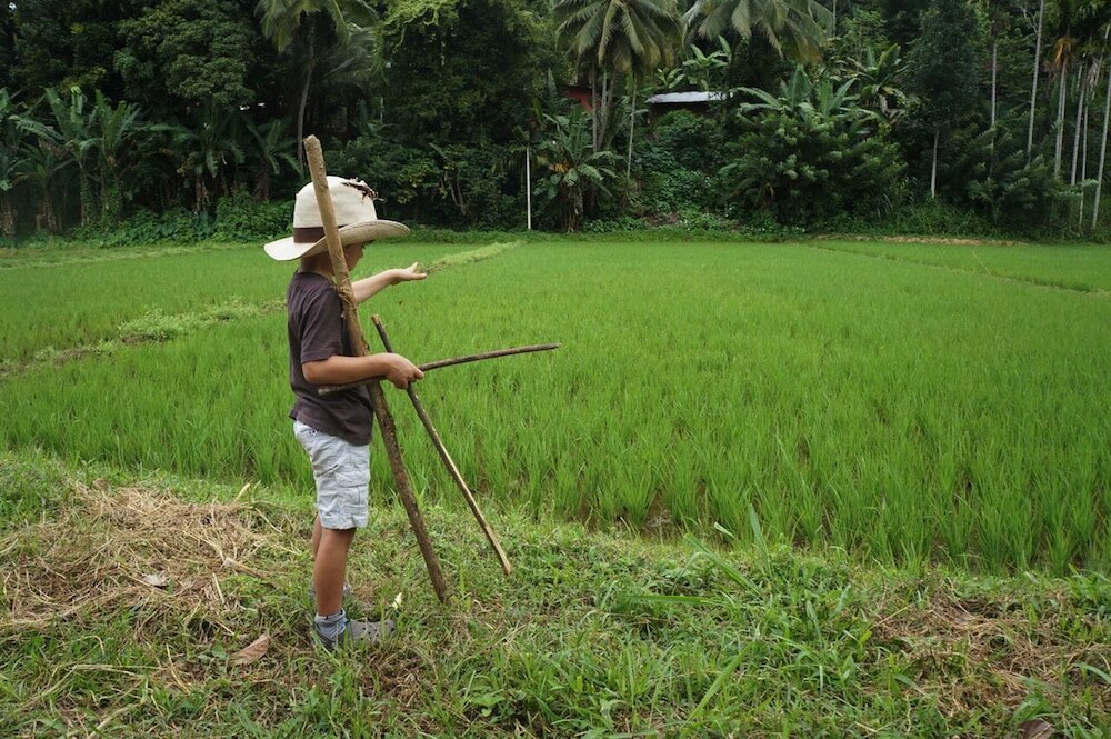 Фото Captain's Lodge