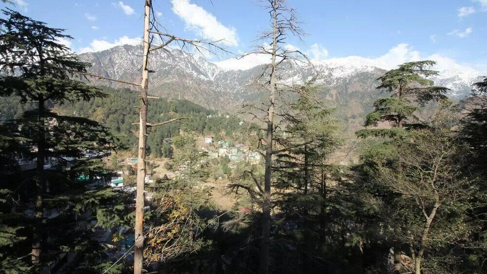 Фото Hotel Imperial9