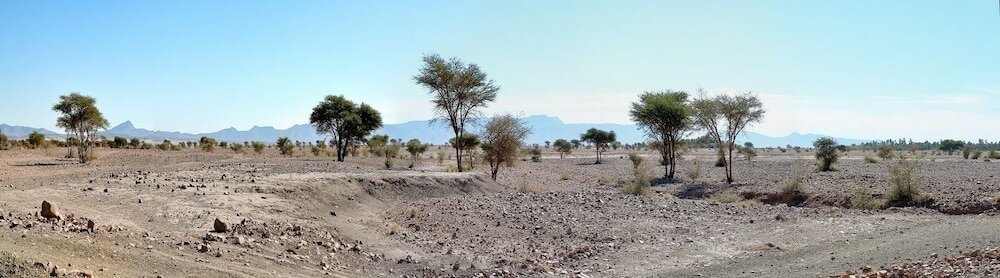 Фото Hotel Kasbah Tissint