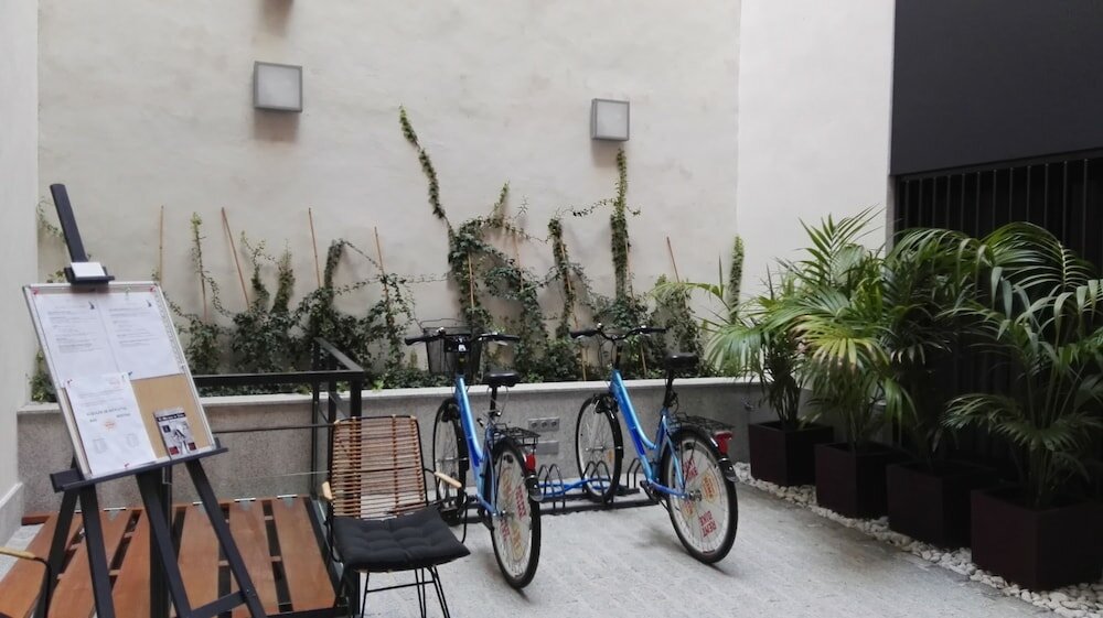 Фото Apartamentos Maier