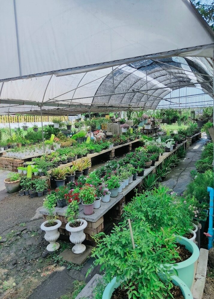 Фото See Sky Resort