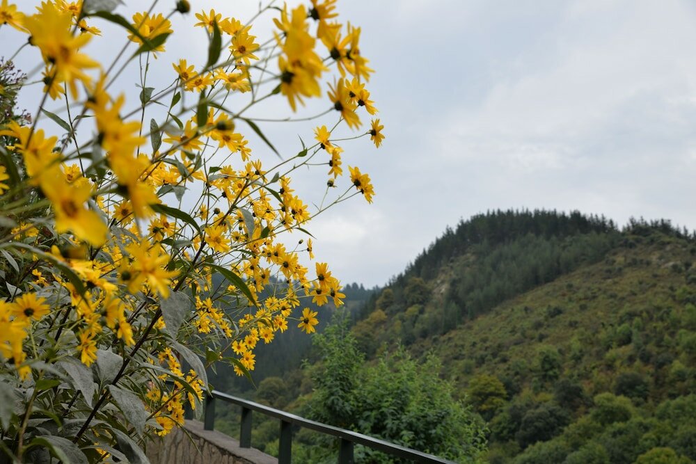 Фото Agroturismo Ordaola